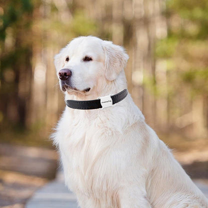 Intelligenter Haustier-GPS-Tracker für Katzen und Hunde